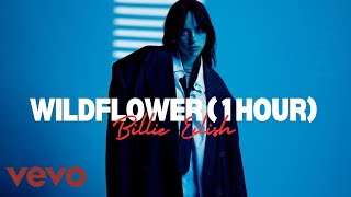 [1 HOUR LOOP] Billie Eilish - WILDFLOWER | Hit Me Hard And Soft