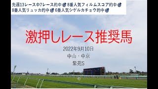 【競馬】紫苑S　予想　2022年9月10日推奨レース＆推奨馬