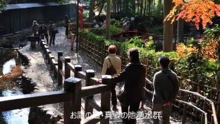 国分寺市の歌