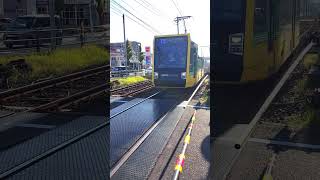 【鹿児島市電7503号】【笹貫4号踏切】を通過します。#shorts #鹿児島市電  #tra