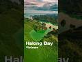 Halong Bay: Get Lost in Beauty 迷失在美丽中 #shorts #travel