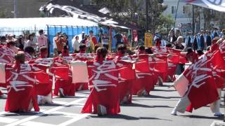 坂戸楽天さん　つるせよさこい祭り2012 002