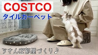 コストコのペットマットでうさんぽ部屋を模様替え！うさぎは走り回る？