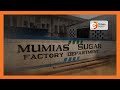 Mumias Sugar workers protest delays in payment of salaries