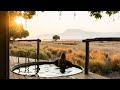 Discover the Wildly Luxurious Nyamatusi Camp - African Bush Camps