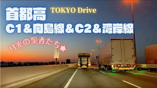 首都高ドライブ【目黒線〜都心環状線外回り〜向島線〜中央環状線〜湾岸線〜レインボーブリッジ〜六本木】Driving TOKYO Metropolitan Expressway at Dawn