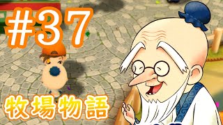 【牧場物語】春のリベンジ、秋の草競馬で力の木の実をゲット！【あき１７日～１８日】【実況】