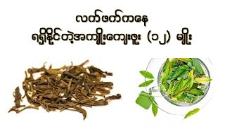 လက်ဖက် ကနေရရှိနိုင်တဲ့အကျိုးကျေးဇူး (၁၂) မျိုး  I  Health Benefits of Tea