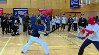 小太刀二段決勝 Kodachi 2dan Final round