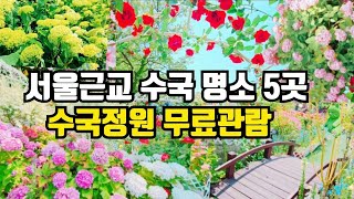 🚈 지하철 타고 6월 수국정원 가볼만한 5곳 🚩 길안내 자세한 설명      Hydrangea Garden near Seoul