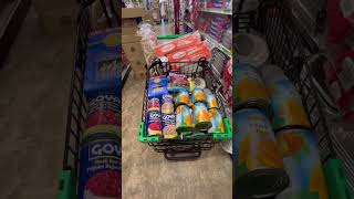 MY 1st DOLLAR TREE GROCERY HAUL MINiVLOG #justthebells10 #groceryhaul   #familyvlog #dollartree