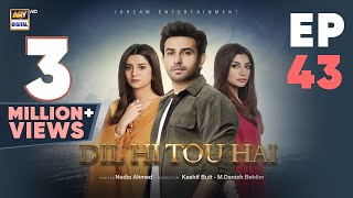 Dil Hi Tou Hai Episode 43 | Ali Ansari | Zoya Nasir | 19 Nov 2023 | ARY Digital