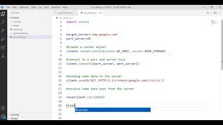 How to create a Simple and very powerful TCP client in python