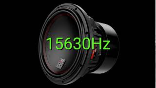 Tone frequency 15630Hz. Test your hearing! speakers/headphones/subwoofer