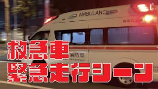 [Emergency Response] 4K Ambulance Emergency Running Scene, Siren Sound Japan