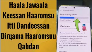 Haala Jawaala Keessan Haaromsu itti Dandeessan Dirqama Haaromsuu Qabdan