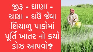 આજની કૃષિ માહિતી-જીરૂ - ધાણા -ચણા -ઘઉં જેવા શિયાળુ પાકોમાં પૂર્તિ ખાતર નો કયો ડોઝ આપવો ? #fertilizer