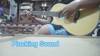 Thomson Slim Acoustic with Pick Up ( Natural Sound )