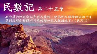 《解經》摩西五經 之 民數記第二十五章