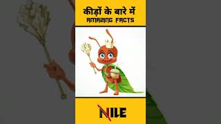 कीड़ों के बारे में Amazing Facts 🐛🐝 | Unknown facts in hindi | #shorts #short #facts