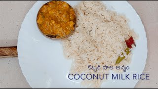 Coconut milk rice! South Indian Food కొబ్బరి పాల అన్నం! సౌత్ ఇండియన్ ఫుడ్