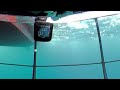 【海の中360度映像 】eye ball 360°underwater vr