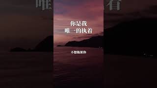 你是我唯一的執著