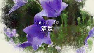 10月31日 誕生花 桔梗