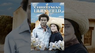 Christmas Lilies of the Field