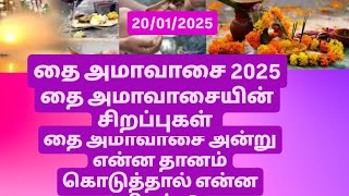 தை அமாவாசை 2025/தை அமாவாசை அன்று என்ன தானம் கொடுத்தால் என்ன சிறப்பு/முன்னோர் வழிபாடு/Thai Amavasai