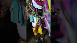 Sathirakatalai Ratha kavadi 🦚519🦚