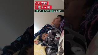 リヒ太郎（１歳７ヶ月）がなかなか起きないパパを叩き起こす！#1歳 #男の子 #早起き