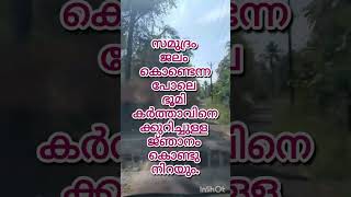 എന്റെ വിശുദ്‌ധഗിരിയില്‍ ആരും ദ്രോഹമോ നാശമോ... #mary #devinemercy #catholicprayer  #mercy