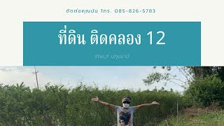 ที่ดินบ้านสวน ริมน้ำ ชิดติดคลองธรรมชาติ คลอง12 ธัญบุรี ปทุมธานี | มินที่ดินรวยปัง88