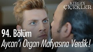 Aycan'ı organ mafyasına verdik! - Kırgın Çiçekler 94. Bölüm