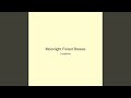 Moonlight Forest Breeze