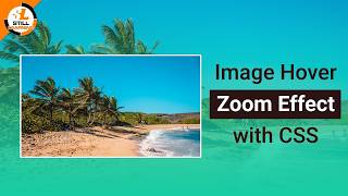 Image Hover Zoom Effect Using HTML & CSS | Beginner Friendly Tutorial