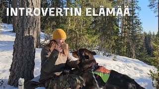 Introvertin elämä, millaista se on.