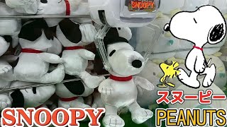 クレーンゲームでSNOOPY(スヌーピー)ゲット!?