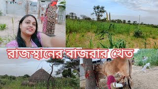 রাজস্থানের গ্রামের মানুষের আতিথেয়তা মন কাড়লো আমাদের। বাজরার ক্ষেত দেখুন।#Rajasthanlife #BONYSVLOGS