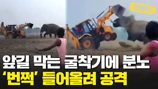 코끼리 vs 굴착기… 인간이 미안해!