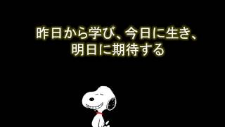 仕事に疲れた時のスヌーピーの名言集