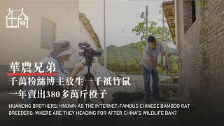 Huanong Brothers: Where Are They Heading for After China's Wildlife Trade Ban?