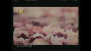 容祖兒 Joey Yung《花千樹》[Official MV]
