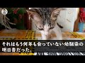 【感動する話】29歳で彼女いない歴年齢の根暗な俺。先輩に誘われ人生初の合コンにいくと俺を毛嫌いしていた幼馴染がいた。帰り道、俺「今日は期待外れだったろ 」」すると彼女「ちゃんと約束守ってよね」