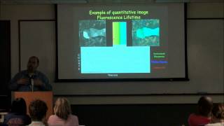 Optical and Computational Approaches to Multidimensional Live Cell Imaging