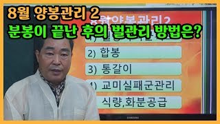 2019년 8월양봉관리2-분봉 완료 후 벌관리 사항은?