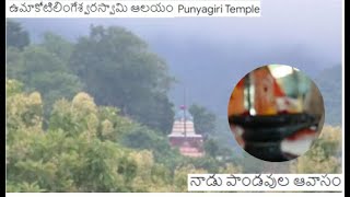 స్వయంభూ పాధరసలింగం | నాడుపాండవుల వనవాసస్థలం | కీచకవధ | శ్రీ ధారగంగమ్మ ఉమామహేశ్వర దేవాలయం | పుణ్యగిరి