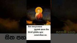 #ධර්මදානයක්_වේවා #truth #dhamma #dhamma_talk #buddha #love #nirwana #buddhism #motivation #nibbana