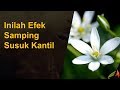 Inilah Efek Samping Susuk Kantil